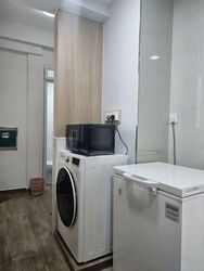 Spring Grove (D10), Condominium #528004811